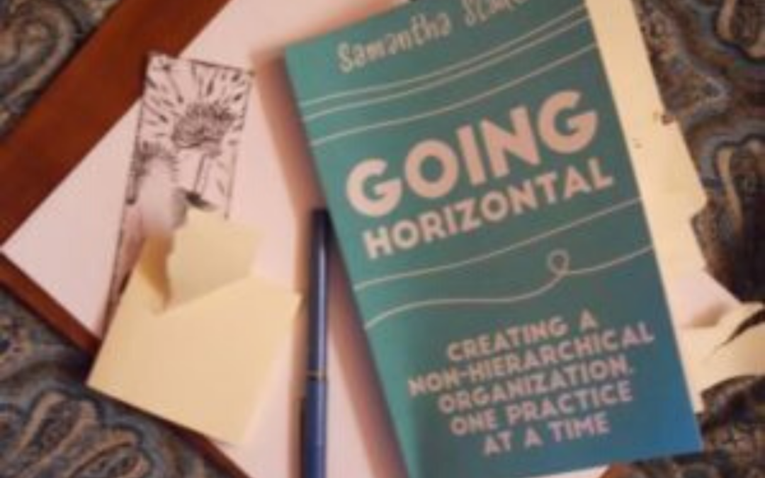 Going Horizontal: Written for Workplaces, Perfect for Activists