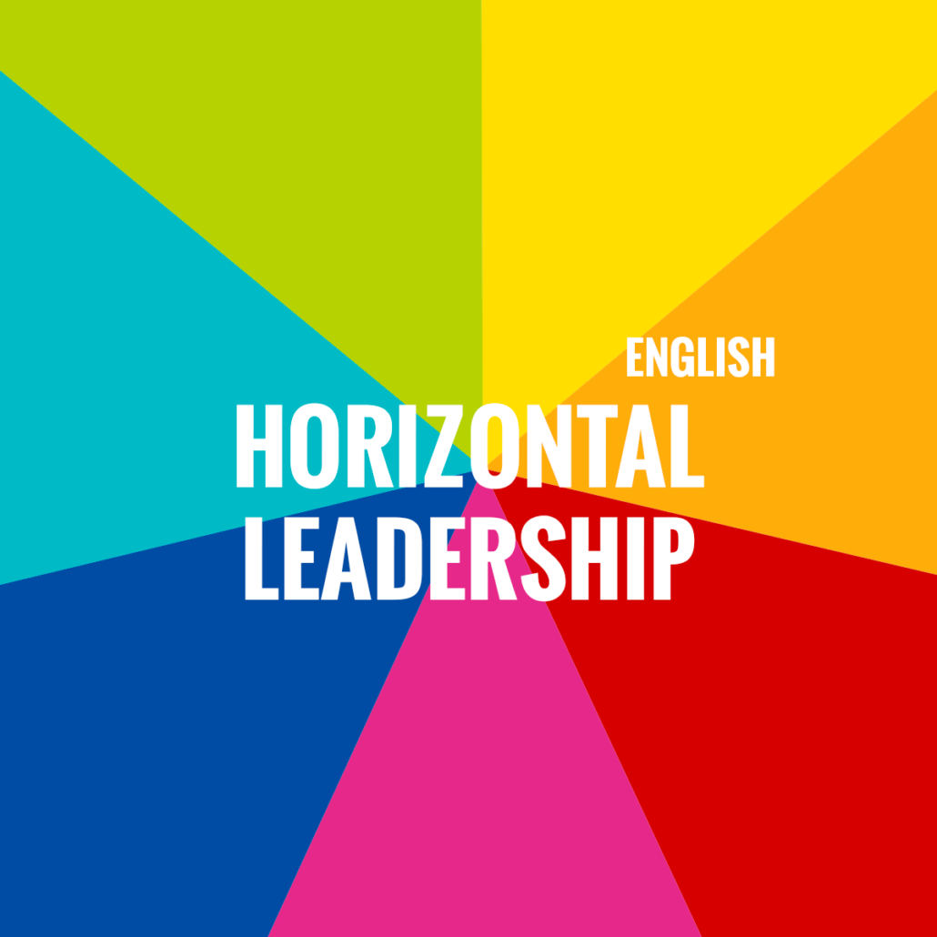 Horizontal Leadership – Practicum